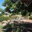5 bedroom detached house for sale aphrodite hills paphos 8529910 thumbnail 15458333