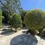6 bedroom detached house for sale kamares tala paphos 7739910 thumbnail 12175200