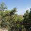 land for sale kapedes nicosia 945910 thumbnail 15601907