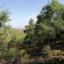 land for sale kapedes nicosia 945910 thumbnail 15601908