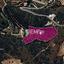 land for sale pano akourdalia paphos 7812910 thumbnail 14876712