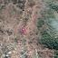 land for sale pigenia nicosia 8628910 thumbnail 15864279