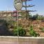 studio apartment building for sale potamos germasogeias limassol 8468910 thumbnail 15198984
