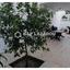 5 bedroom detached house for rent makedonitissa nicosia 1597020 thumbnail 5367417