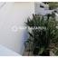 5 bedroom detached house for rent makedonitissa nicosia 1597020 thumbnail 5367424