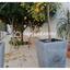 5 bedroom detached house for rent makedonitissa nicosia 1597020 thumbnail 5367428