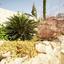 6 bedroom detached house for sale tsada paphos 7740020 thumbnail 13697636