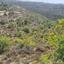land for sale agios therapon limassol 8629020 thumbnail 15864807