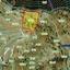 land for sale agros limassol 8875020 thumbnail 17233808
