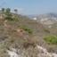 land for sale kalavasos larnaca 946020 thumbnail 1369253