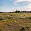 land for sale parekklisia limassol 7739020 thumbnail 10209998