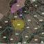 land for sale pyrgos limassol limassol 7876020 thumbnail 11007516