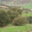 4348 SQM Land for sale in Simou, Paphos thumbnail 15599620