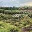 2610 SQM Land for sale in Nikokleia, Paphos thumbnail 16673365