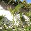 6 bedroom detached house for sale agios athanasios limassol 7936120 thumbnail 14357260