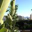 6 bedroom detached house for sale agios athanasios limassol 7936120 thumbnail 14357261