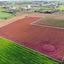 land for sale agioi trimithias nicosia 8382120 thumbnail 15003973