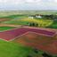 land for sale agioi trimithias nicosia 8382120 thumbnail 15003976