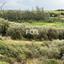 land for sale nikokleia paphos 1270120 thumbnail 5547621