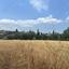 land for sale poli chrysochous paphos 8645120 thumbnail 15929545