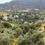land for sale kalavasos larnaca 8711220 thumbnail 16532103