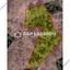 land for sale vavatsinia larnaca 1688220 thumbnail 14152728
