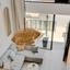 1 bedroom maisonette for sale larnaca municipality larnaca 8807320 thumbnail 16812255