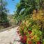3 bedroom detached house for sale kritou tera paphos 8890320 thumbnail 17318650
