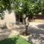 4 bedroom detached house for rent panthea limassol 7784320 thumbnail 10416093