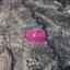 land for sale agios therapon limassol 7872320 thumbnail 14892264