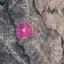 land for sale agios therapon limassol 7872320 thumbnail 14892271