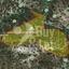 land for sale agios tychonas limassol 7650320 thumbnail 9923672