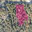 land for sale pano platres limassol 7966320 thumbnail 12911429