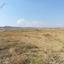 land for sale tseri nicosia 1336320 thumbnail 15600457