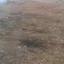 plot for sale kakopetria nicosia 1779320 thumbnail 16168094
