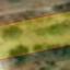 669 SQM Plot for sale in Dymes, Limassol thumbnail 16193329