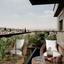 3 bedroom apartment for sale agia fyla limassol 1282420 thumbnail 7374498
