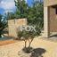 6 bedroom detached house for rent sotira lemesou limassol 1146420 thumbnail 14867386