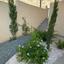 6 bedroom detached house for sale agios tychonas limassol 1682420 thumbnail 7323886