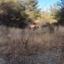plot for sale dymes limassol 1702420 thumbnail 16193328