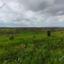 11121 SQM Land for sale in Psimolofou, Nicosia thumbnail 16530649