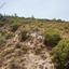 plot for sale trimiklini limassol 8810520 thumbnail 16838986