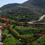 land for sale kalavasos larnaca 8338620 thumbnail 14343109