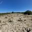 land for sale kathikas paphos 7812620 thumbnail 12693325