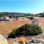 land for sale pyrgos limassol limassol 1501620 thumbnail 5825753