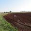 land for sale avgorou famagusta 8833720 thumbnail 17009777