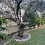 3 bedroom detached house for sale psimolofou nicosia 7788820 thumbnail 13115862