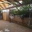 4 bedroom detached house for sale agios spyridonas limassol 8399820 thumbnail 17809377