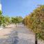 4 bedroom detached house for sale protaras famagusta 1607820 thumbnail 5434874