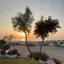 4 bedroom detached house for sale tremithousa paphos 7816820 thumbnail 10664476